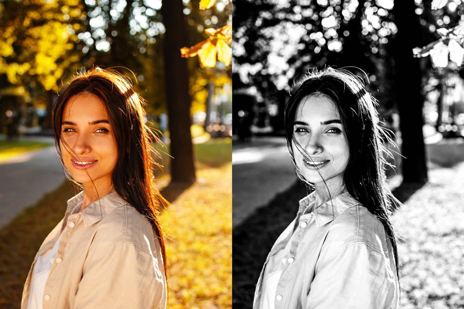 10 Presets Black & White Lightroom Para Celular e PC,.;