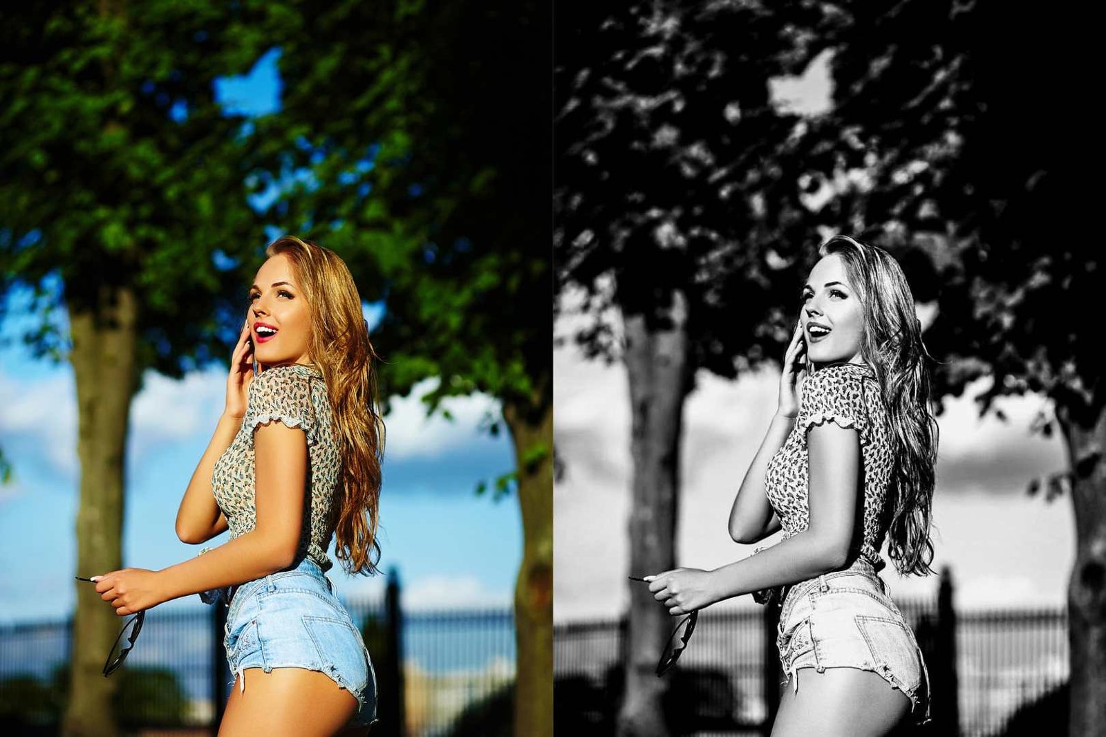 10 Presets Black & White Lightroom Para Celular e PC........