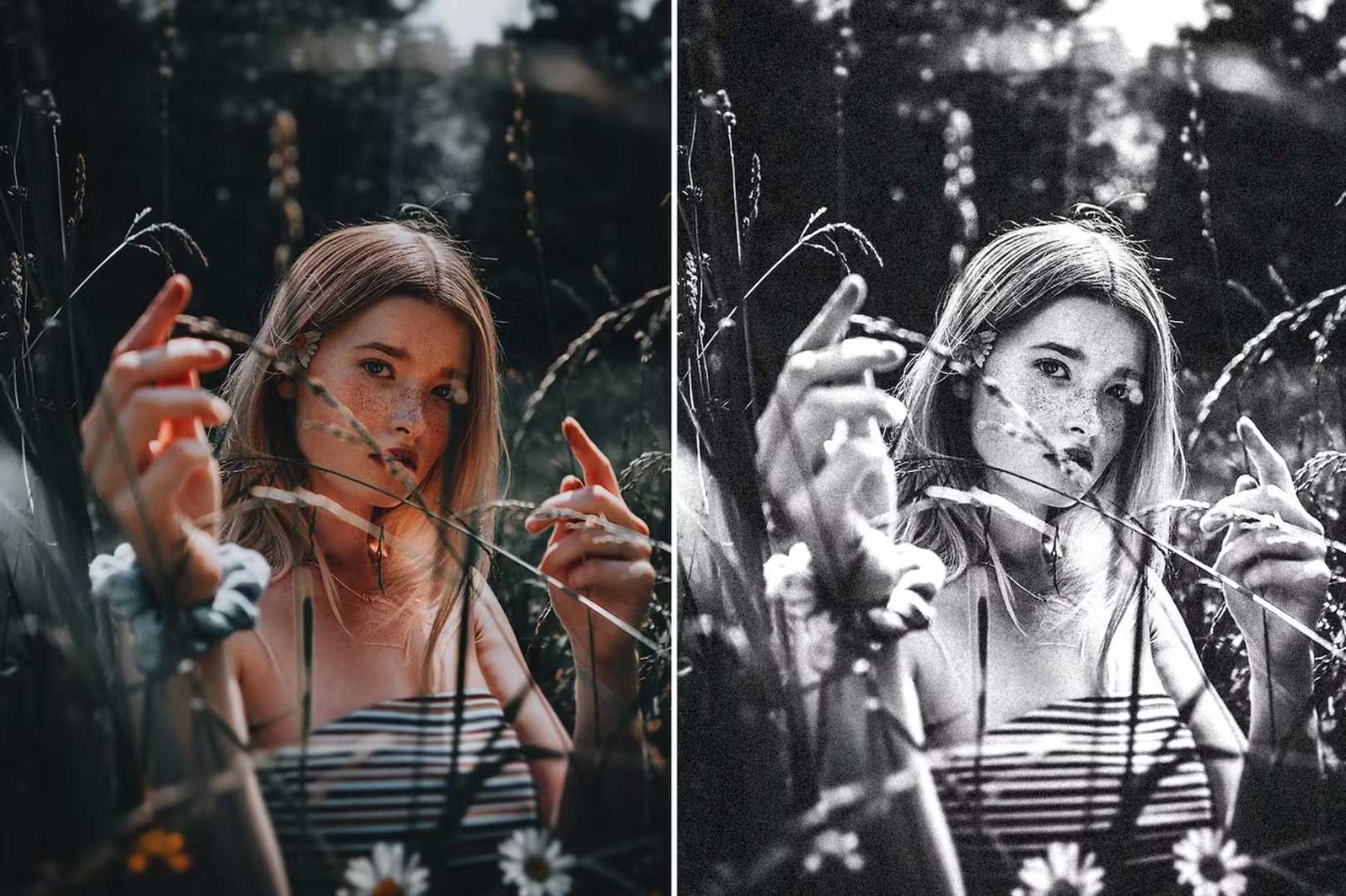 10 Presets Black & White Lightroom Para Celular e PC. .