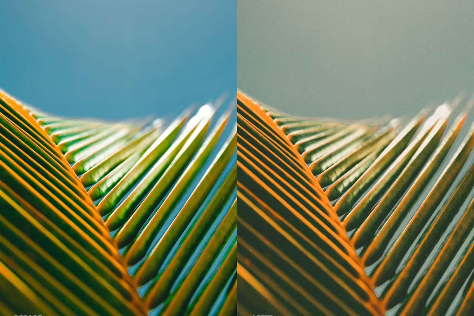 35mm - Presets Lightroom Para Celular e PC