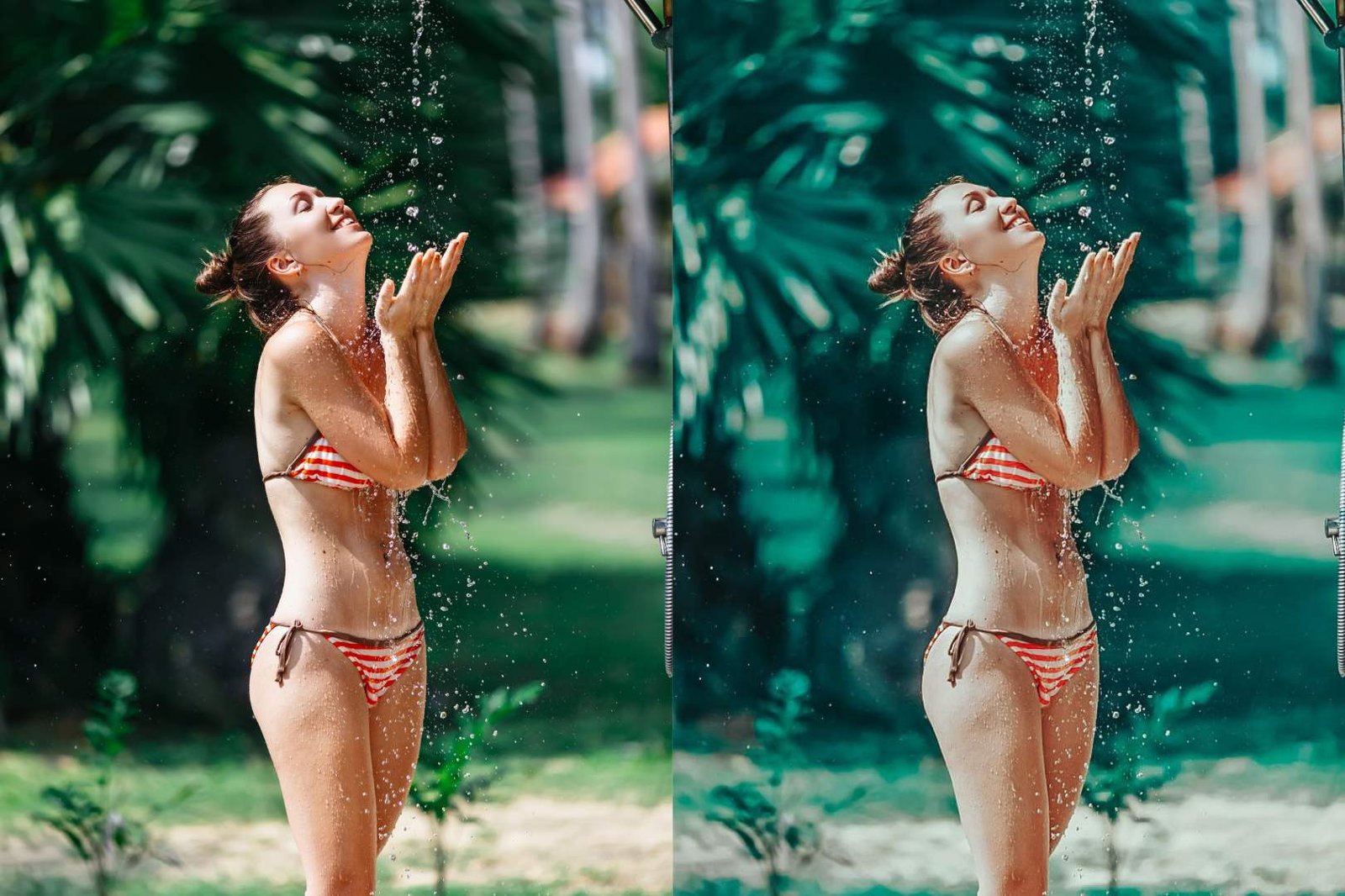 3 Presets Lightroom Avocado Para Celular e PC .